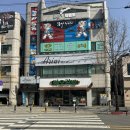 아리니네일엔래쉬