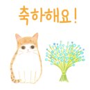 가족천하 이미지