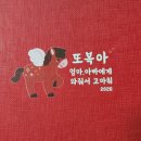 기쁨약국 | [대구 김건우 산부인과] 난소 염전 니프티 검사 결과 7번 삼염색체증(Trisomy 7) 양수검사 후기