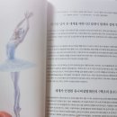 방구석1열 인형극장 | 2025 유니버설발레단 &lt;백조의 호수&gt; 리뷰 ② – 1열 중앙 시야 &amp; 공연 후기