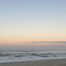 팜비치호스텔 이미지