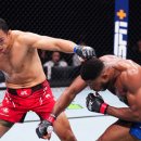 정다운인(IN) 이미지