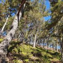 사량파출소 이미지