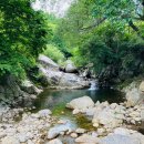 금자네펜션 이미지