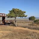 무안황토갯벌랜드B 이미지