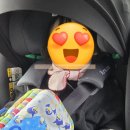 (주)세종해피키즈풀 | [세종시] 세종 아이와 가볼만한곳: 실내동물원&amp;키즈카페 쥬라리움 다녀온 후기🌸(사진많음주의)