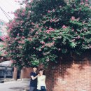 동명가원 이미지