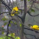 건강 한약국 이미지