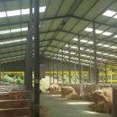 진도축산 이미지