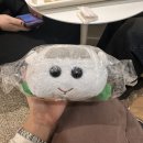 [2026.01.18~01.25] 떵개일기(연남 연교, 용가훠궈 건대점, 남대문 가메골왕만두) &amp; 영화 '시라트' 후기