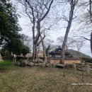 당목마을 당제 이미지