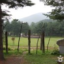 국립청태산자연휴양림 Daum카페