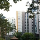 세곡-103 Daum카페