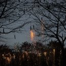 대성사 | [11월 서울 가볼만한곳] 2025년 우면산 대성사 낙화축제 후기(무료, 공연라인업)