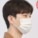 노아덴탈 이미지