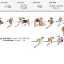 동탄중앙동물병원 이미지