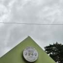 평창 양떼목장 대관령 삼양라운드힐 삼양목장 방문 기록