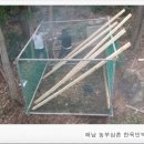 해마루힐링숲민박 이미지