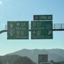 비비게러지 이미지