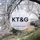 신탄진도서관 | 대전 신탄진 KT&amp;G 케이티엔지 벚꽃 | 기찻길 사진과 조용히 산책하기 좋은 길
