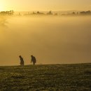 소망목장 이미지