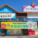 배내골사과정보화마을 이미지