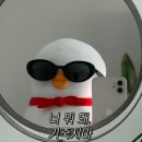 칠갑산 목장 | 격월간 잔니/ 2024.04~05