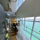 호텔드레 | [웨딩] 부산 파크하얏트호텔 웨딩(스몰 웨딩, 가족 예식)/드로잉룸33층/탈케뎀 드레스(TAL Kedem)/림...