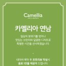 카멜리 이미지