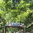 복바위가든 | 순창 용궐산(하늘길). 채계산(출렁다리). 승우여행사
