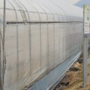 양평외갓집펜션 이미지