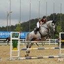 국제승마장관리사업소 뉴시스