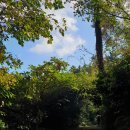 상예동-15 이미지