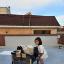 사임당로14길 7 이미지