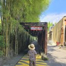 아이호텔 | 발리 호텔 마라리버사파리롯지 아이추가 동물원 호텔 후기