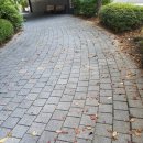 너와의 산책 이미지