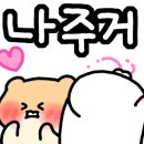 48시간 풀빌라 이미지