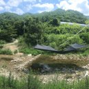 상록수민박 이미지