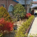 부산성우학교 이미지