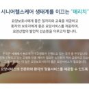 마음자리 요양보호사교육원 이미지