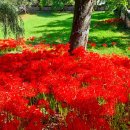 환벽당길 이미지