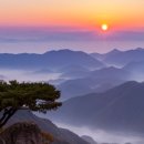 금산-10 이미지