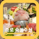 엄지횟집 | 종각역 술집 횟집 숙썽수산 진심 엄지척 후기