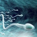 플레이 사이언스 이미지