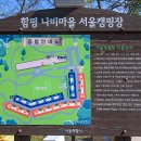 함평나비마을 서울캠핑장 이미지