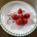 태영농장 이미지