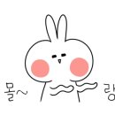 영일약국 이미지