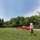 갈말근린공원 이미지