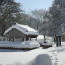 백암기사식당 이미지