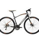 자이언트 피트니스 이미지